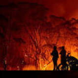 group index image